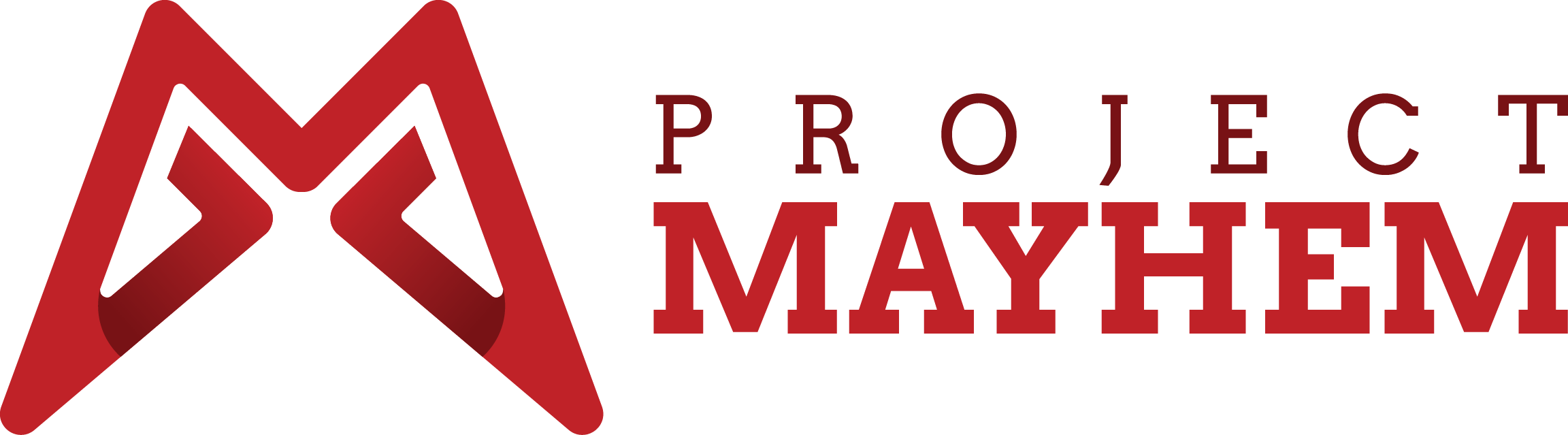 Project Mayhem